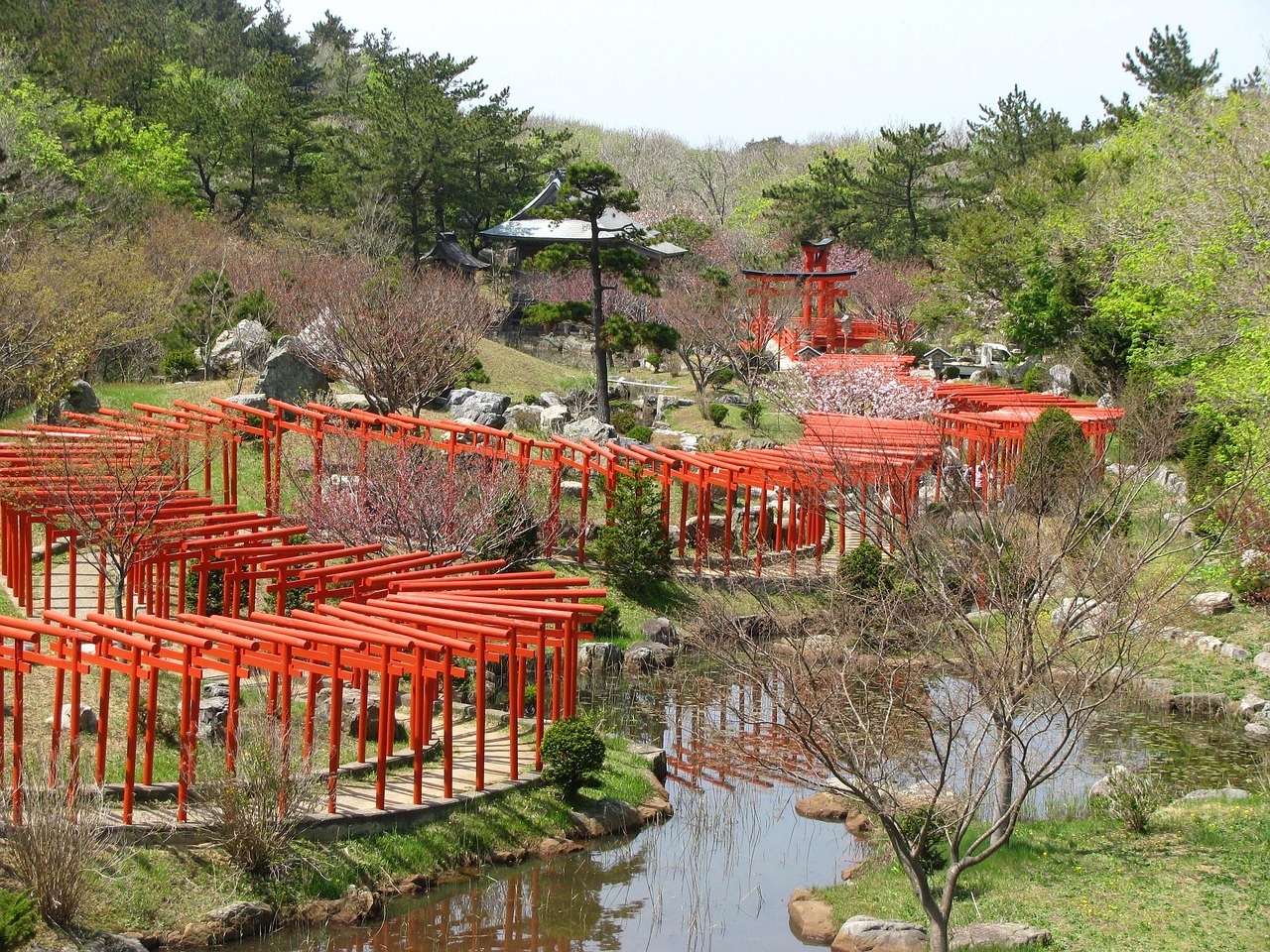 torii, red, shrine, japan, takayama inari, torii, torii, japan, japan, japan, japan, japan