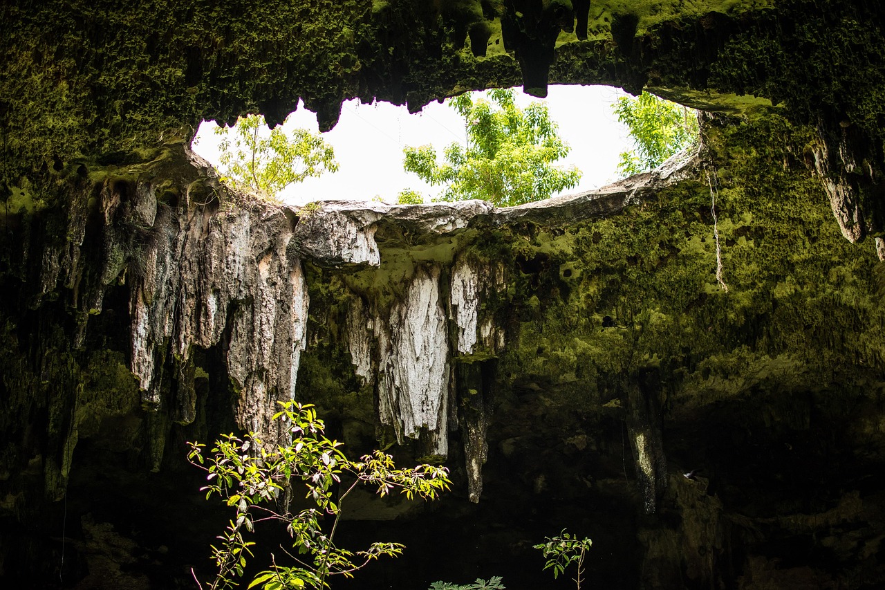 hole, cenote, cave, so, underground, yucatan, pierre, nature, geology, swimming pool, mexico, destination, geological, deep, costs, travel, cenote, cenote, cenote, cenote, cenote