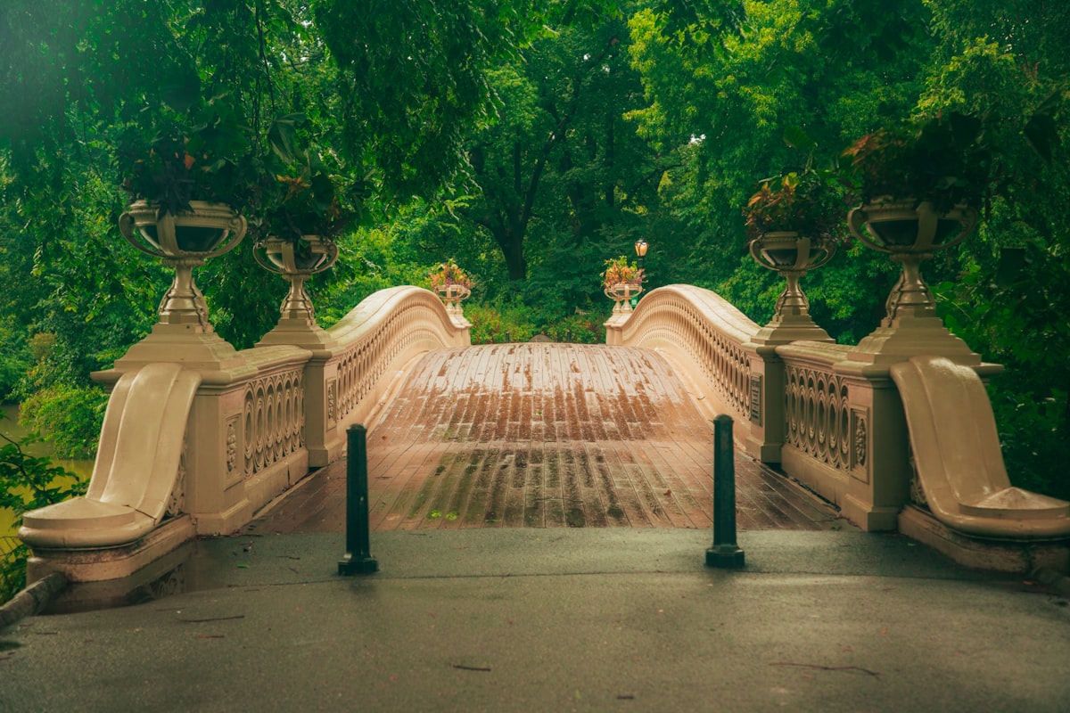 a stone bridge surrounded by lush green trees