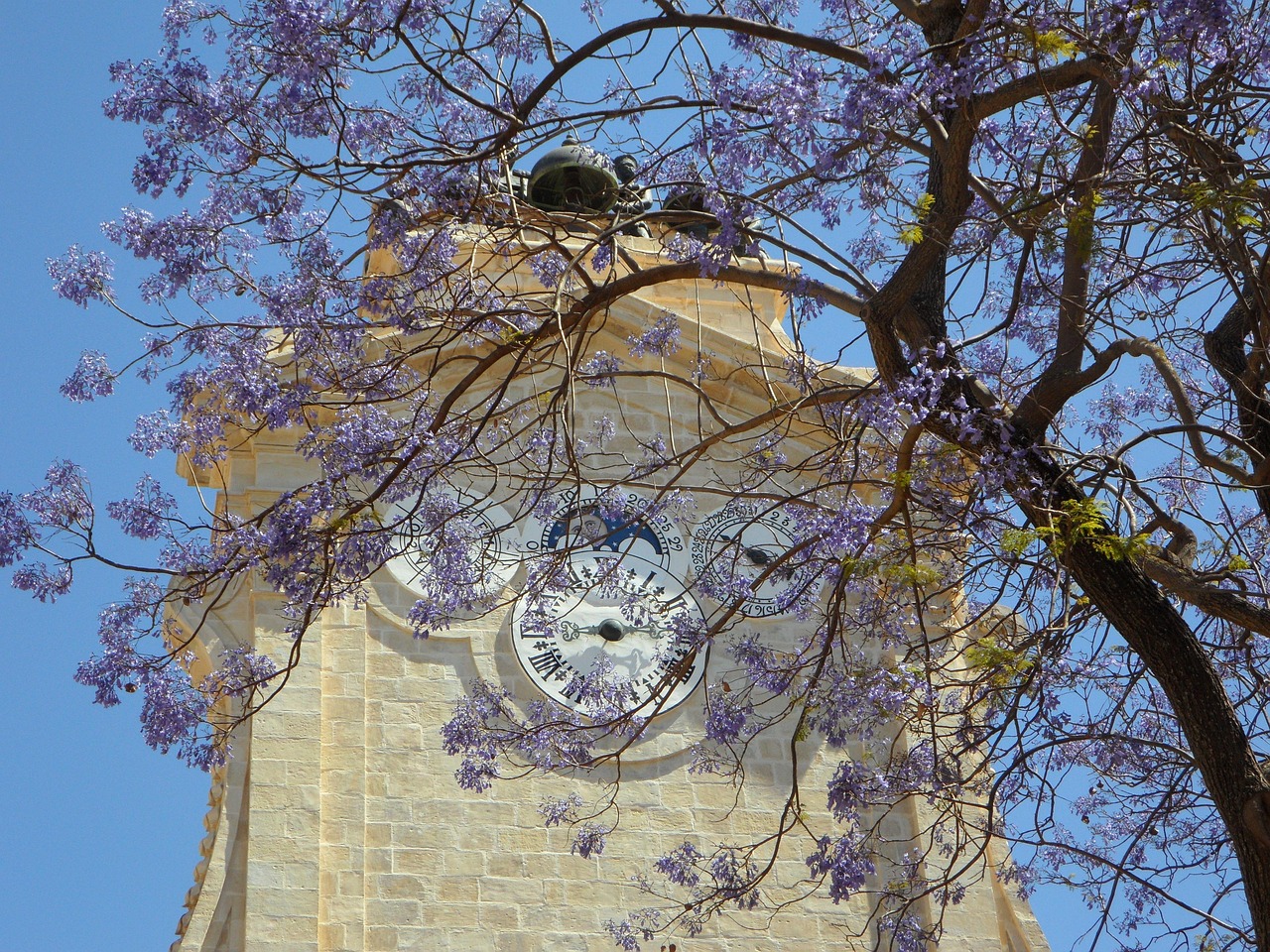 grand master's palace, tower, clock, tower clock, blossom, heaven