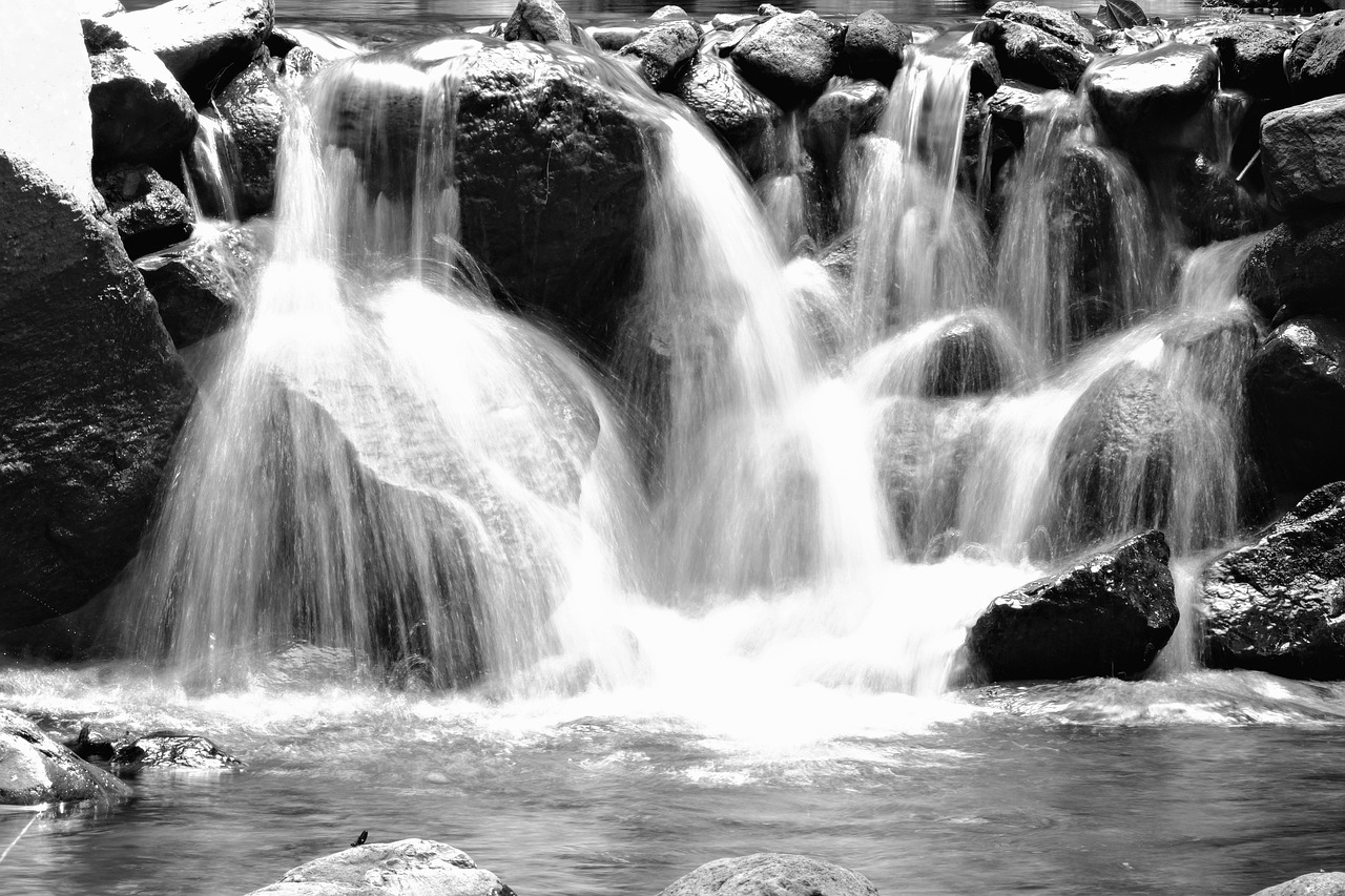 waterfall, river, nature, water, black and white