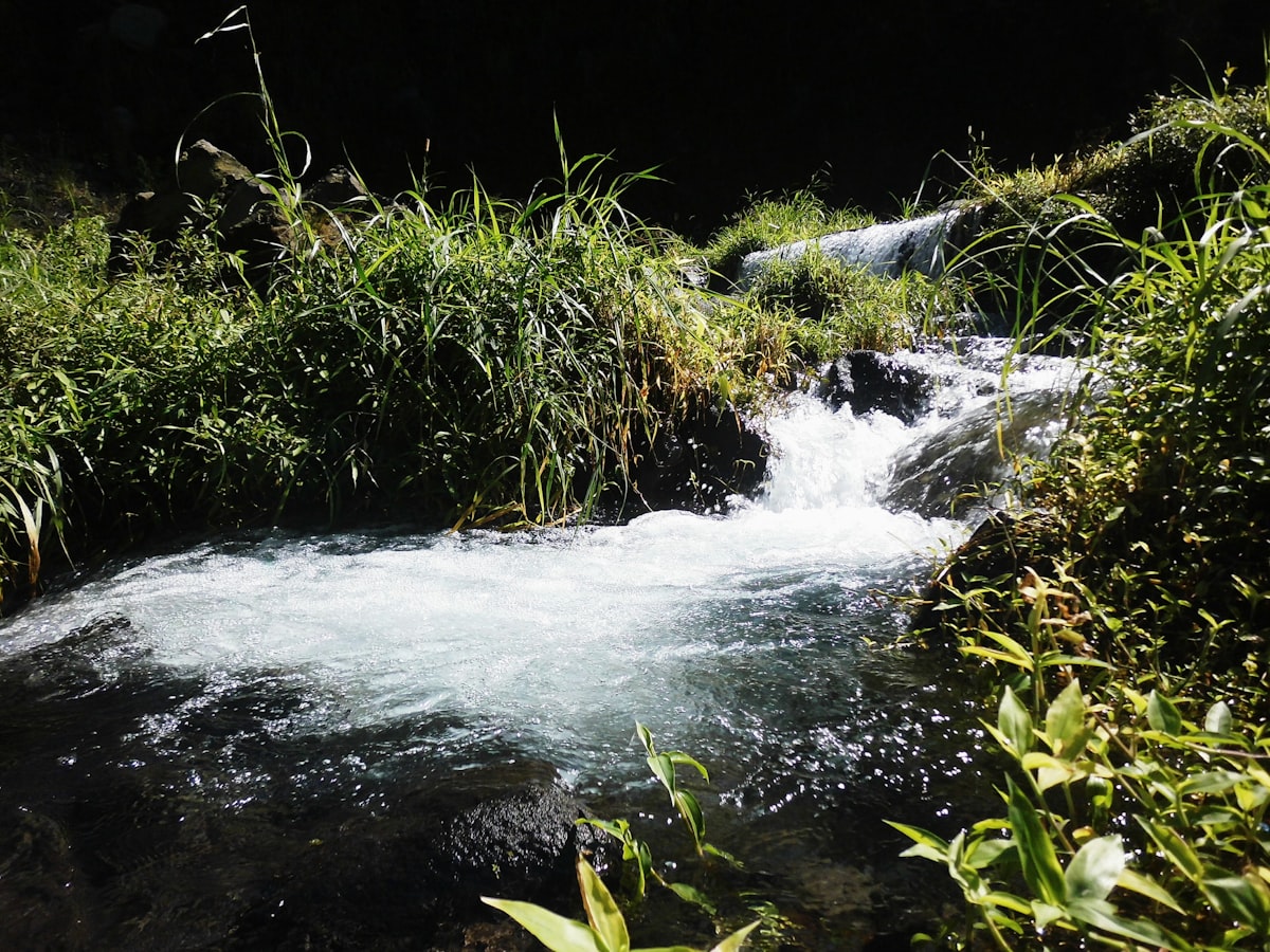 water falls in the middle of green grass