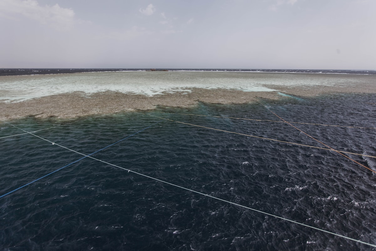 A large body of water surrounded by land