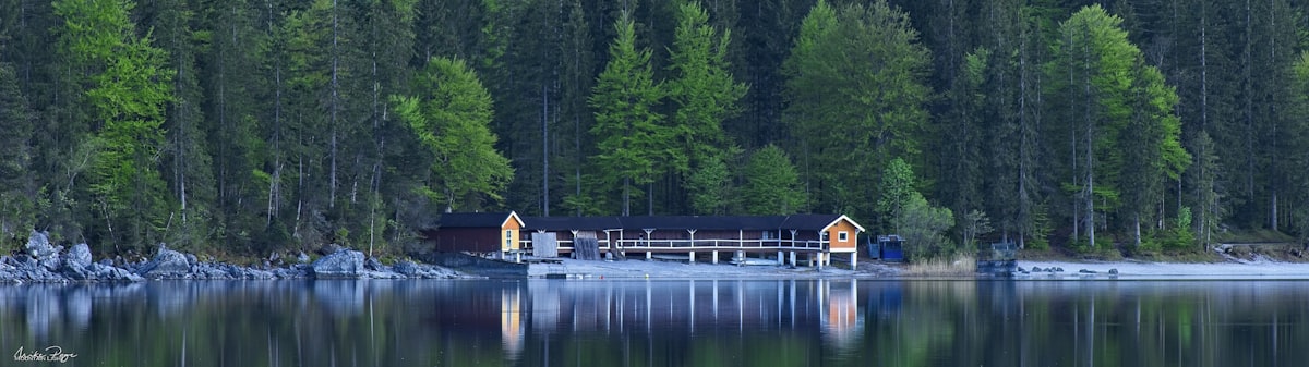 brown wooden house near lake and green trees during daytime