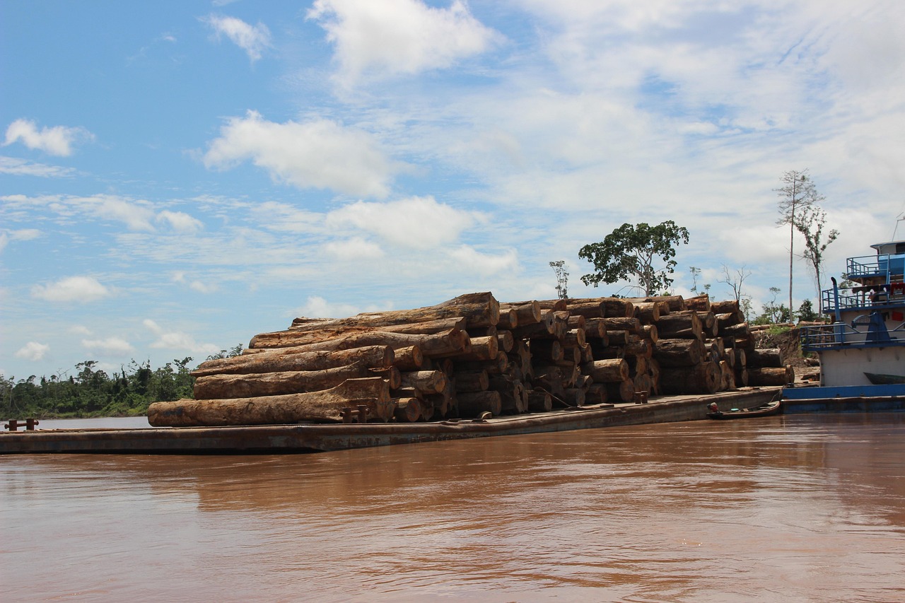 blank, the woods, river, nature, tree, wood, timber, clearing, trees, clouds, sky, jungle, amazon, peru