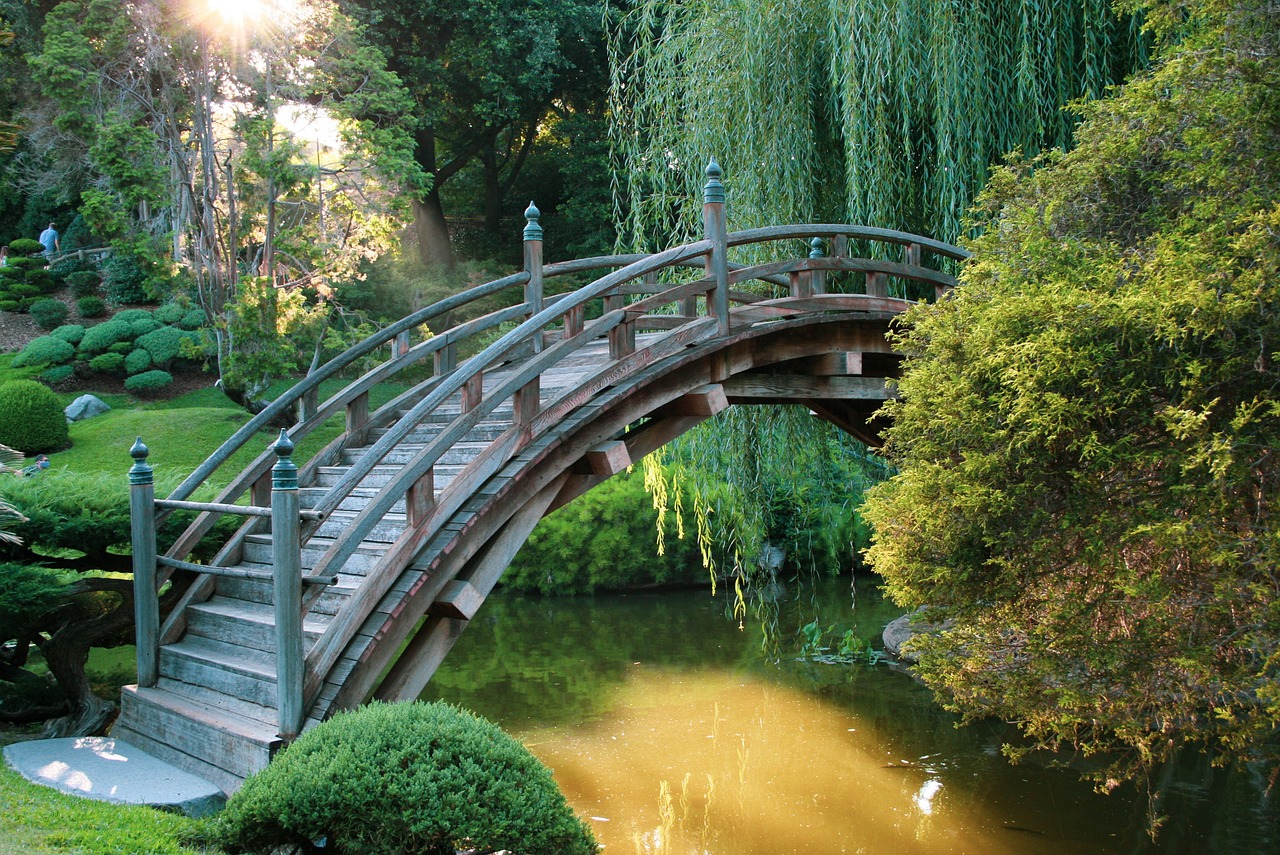 bridge, arch, garden, park, trees, oriental, landscape, zen, nature, water, architecture, arboretum, bridge, oriental, zen, zen, zen, zen, zen, arboretum, arboretum, arboretum, arboretum
