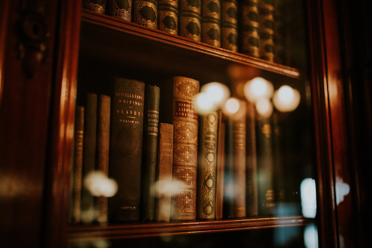 books, library, bookcase, bookshelves, novels, knowledge, rack, glass, reflection, reading, library, library, library, library, library