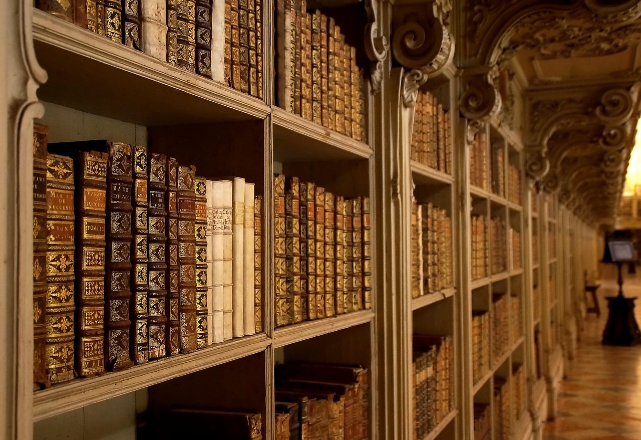palacio nacional de mafra, library, books, portugal, mafra, national palace of mafra, bookshelf, shelf, old books, vintage, antique, literature, library, library, library, library, library, bookshelf