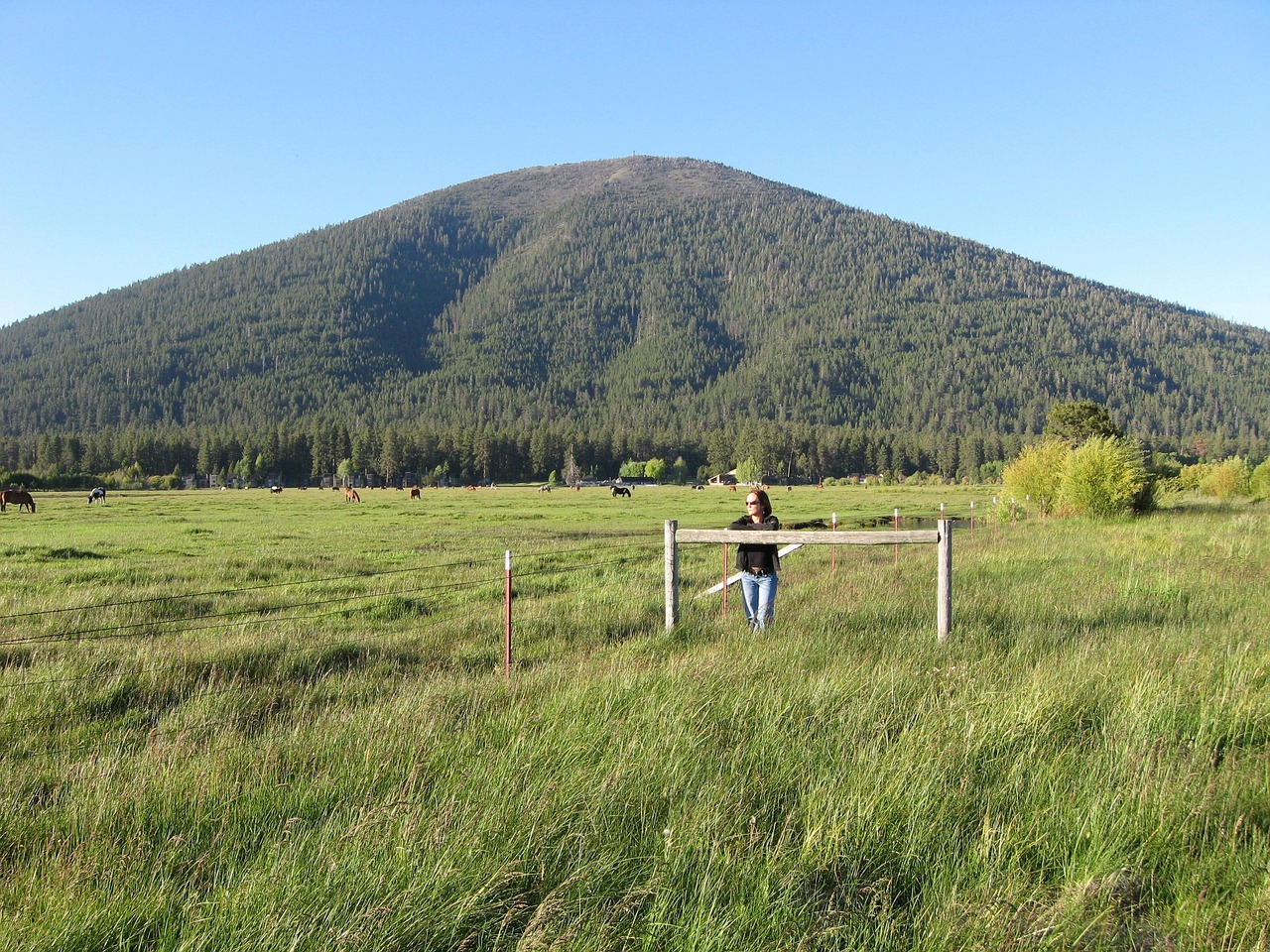 black butte, mountain sisters, oregon, ranch, pasture, pastoral