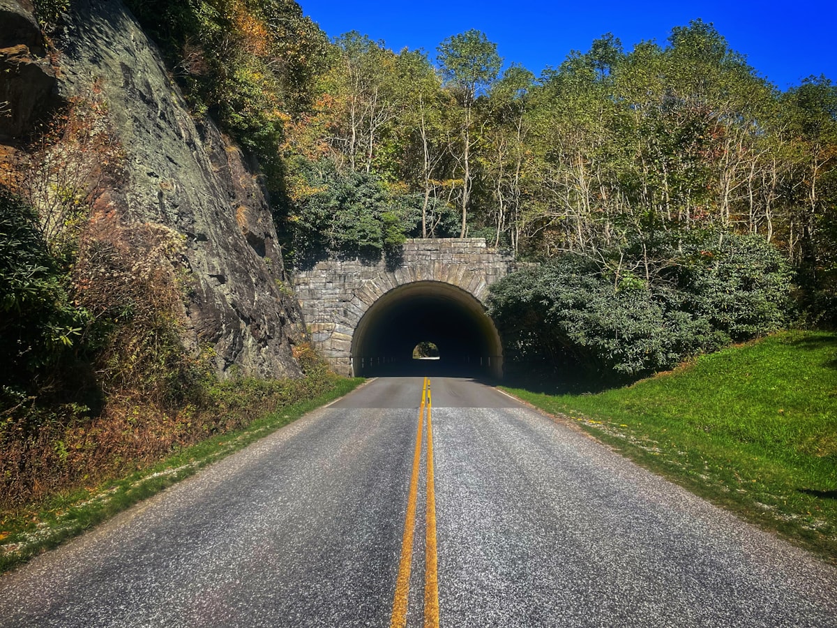 a road going into a tunnel in the middle of a forest