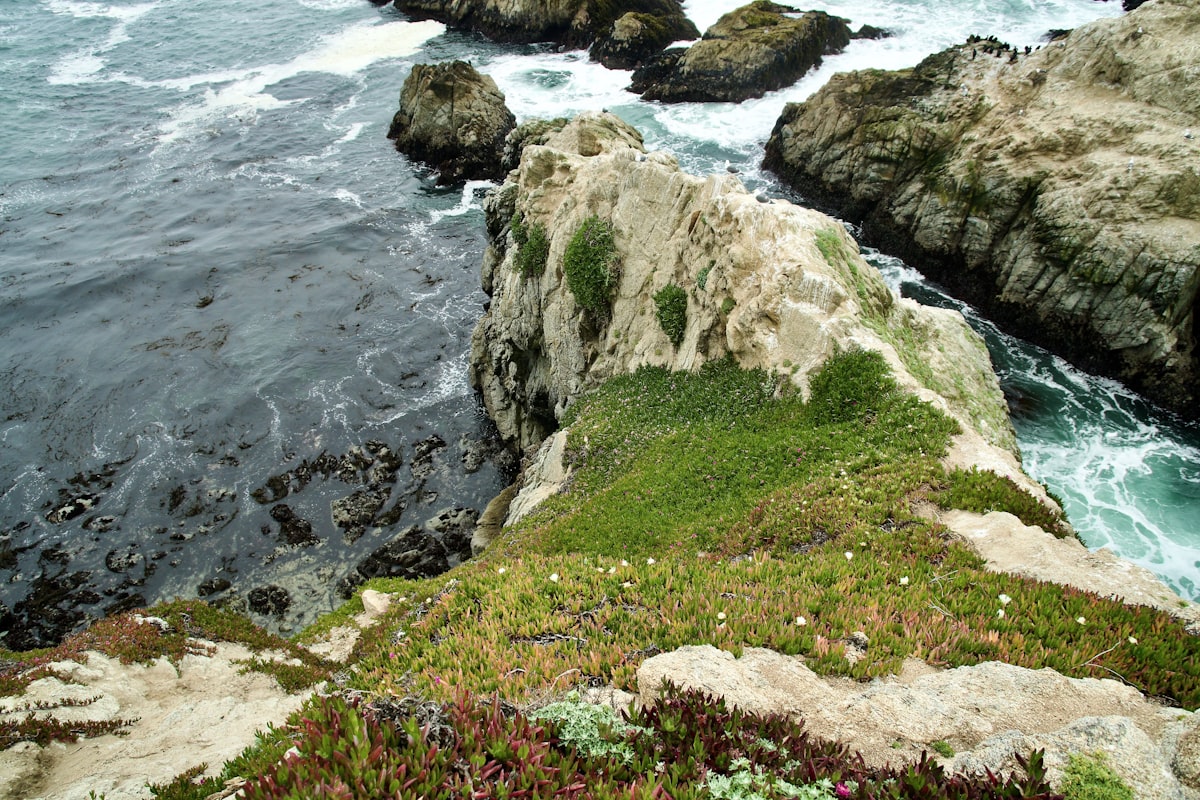 a view of the ocean from the top of a cliff