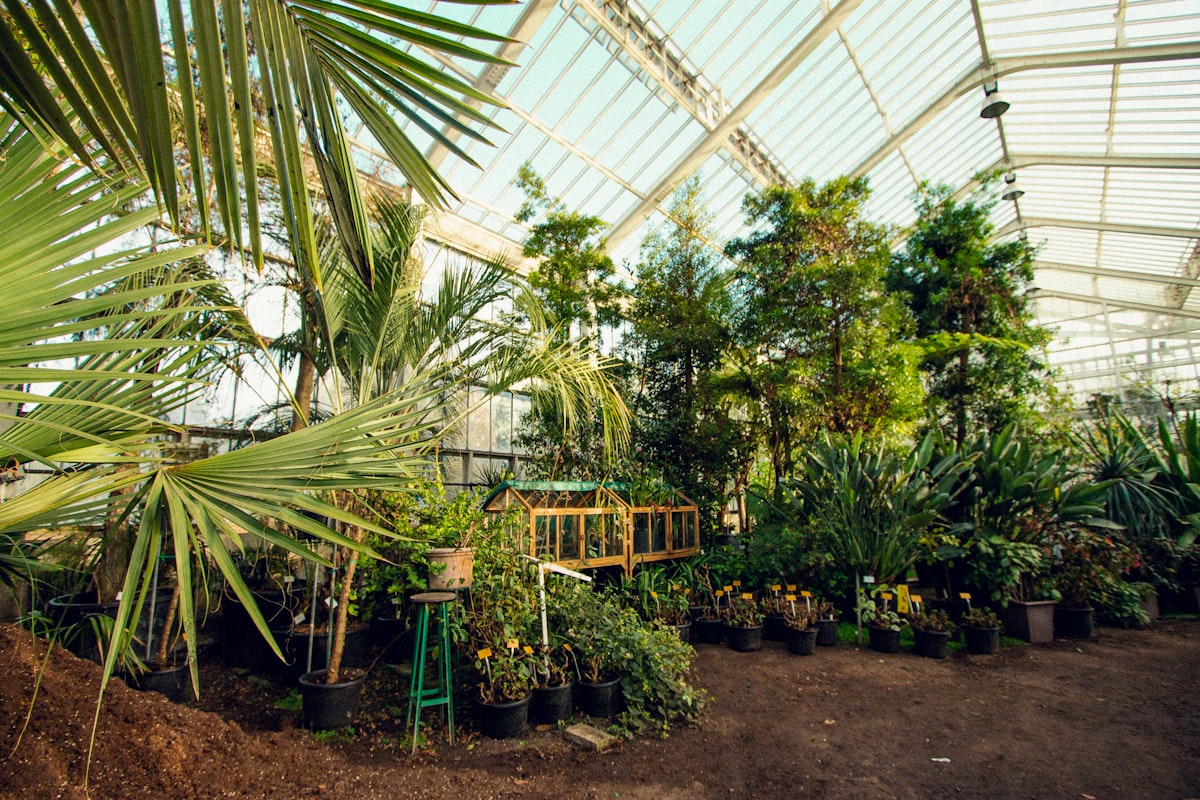 green plants on green metal frame