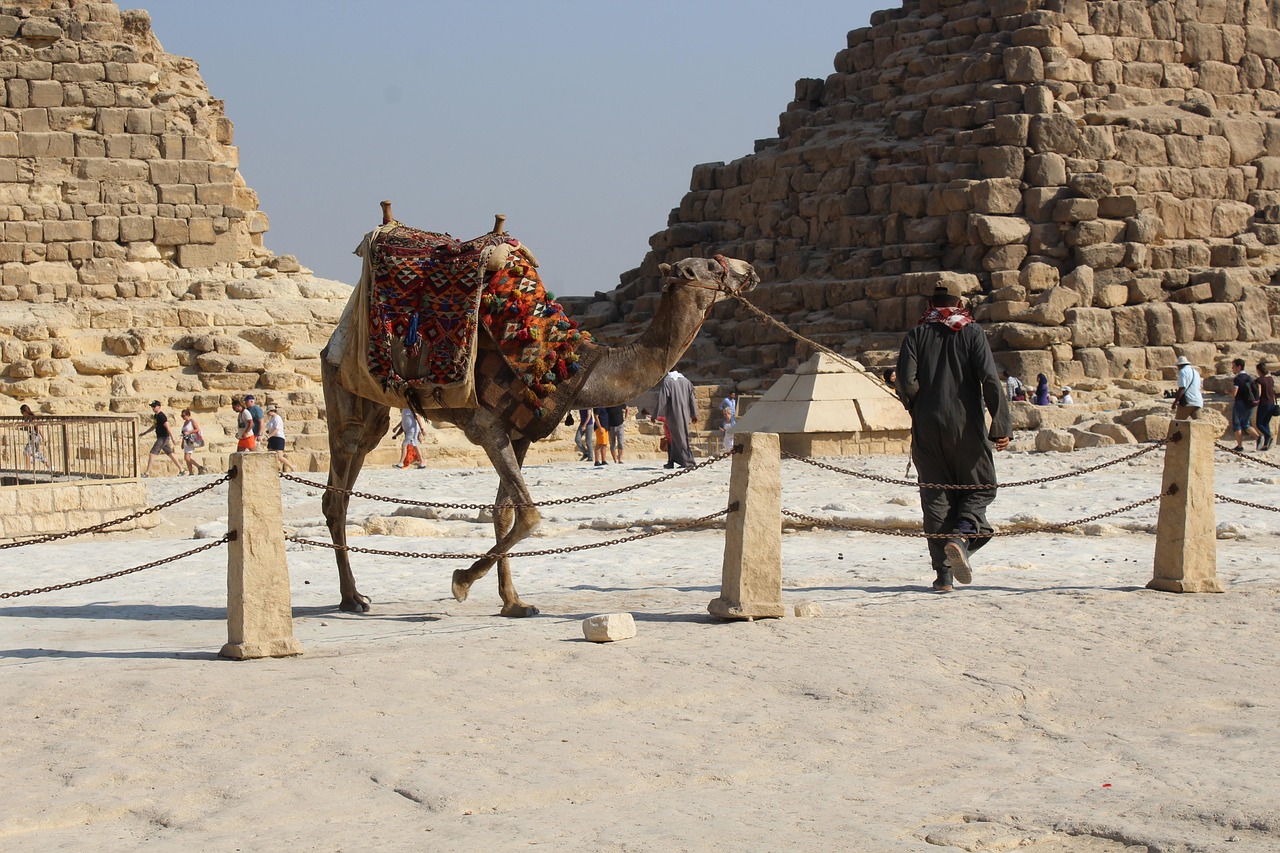 khufu, pyramid, ancient, giza, egypt, cairo, desert, egyptian, menkaure, culture, africa, civilization, nature, stone, camel, egyptology, brown desert, brown culture