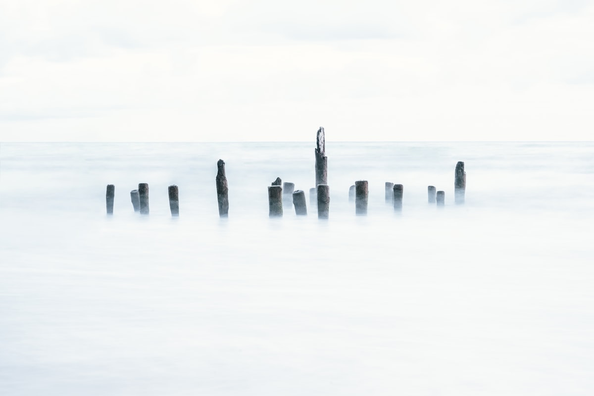 a group of poles sticking out of the water