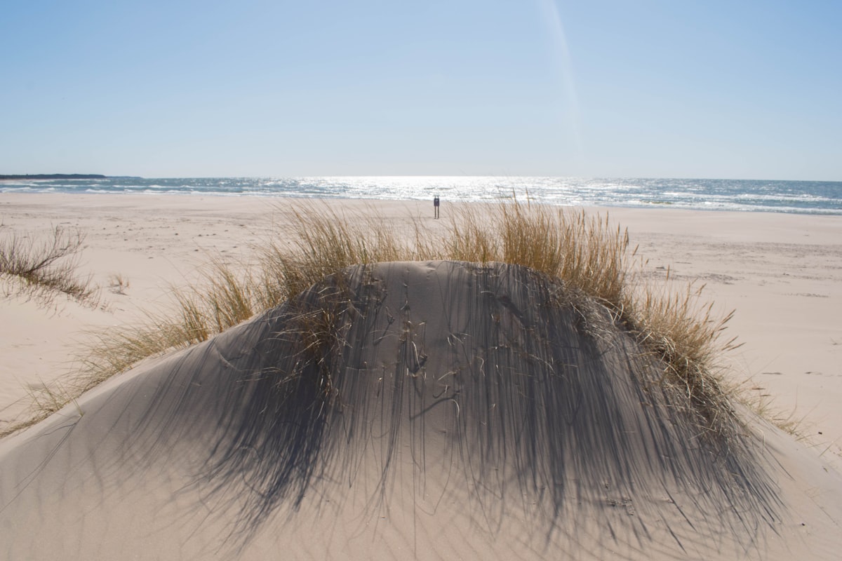 A sand dune with grass sticking out of it