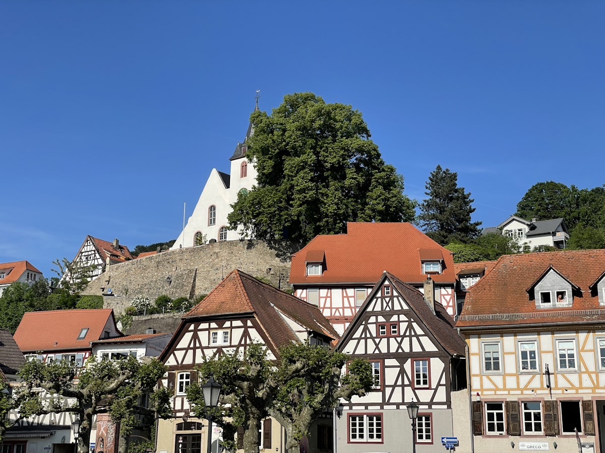 a row of houses with a castle in the background