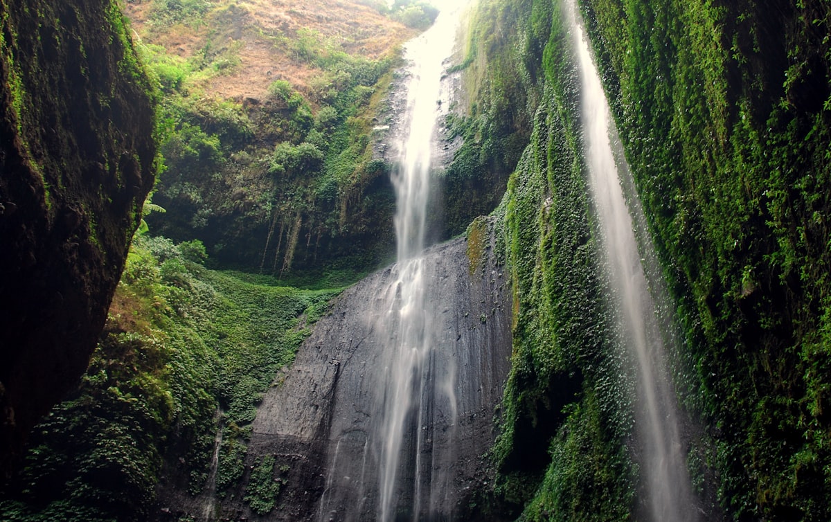 water falls in the middle of green trees