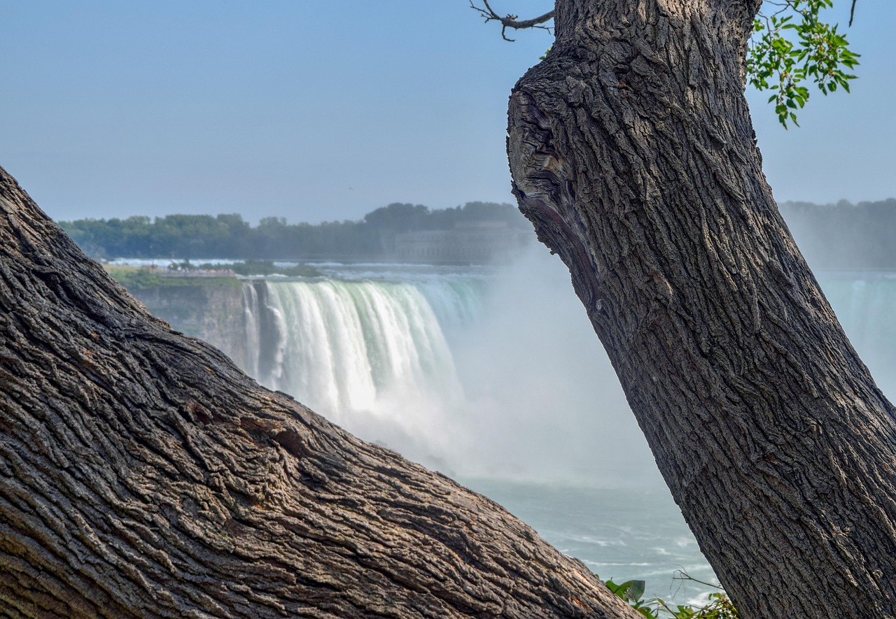 niagara falls, water, waterfall, nature, tree, landscape