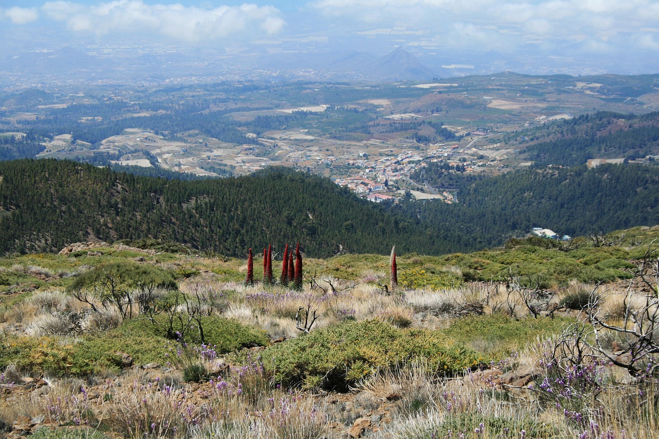 canary islands, teide national park, tenerife, spain, teide, nature, landscape, outlook, lava field, canary islands, canary islands, canary islands, tenerife, tenerife, tenerife, spain, teide, teide, teide, teide, teide