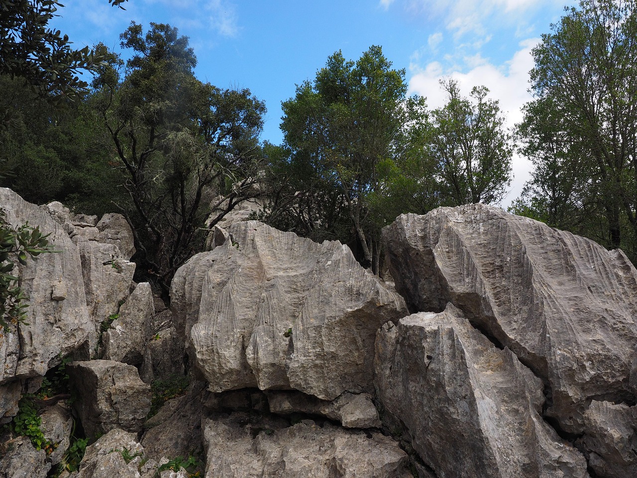 rock, limestone, limestone formations, moleta de binifaldó, washed out, karst, karst landscape, lluc, mallorca, trail, bizarre, haunting, bold