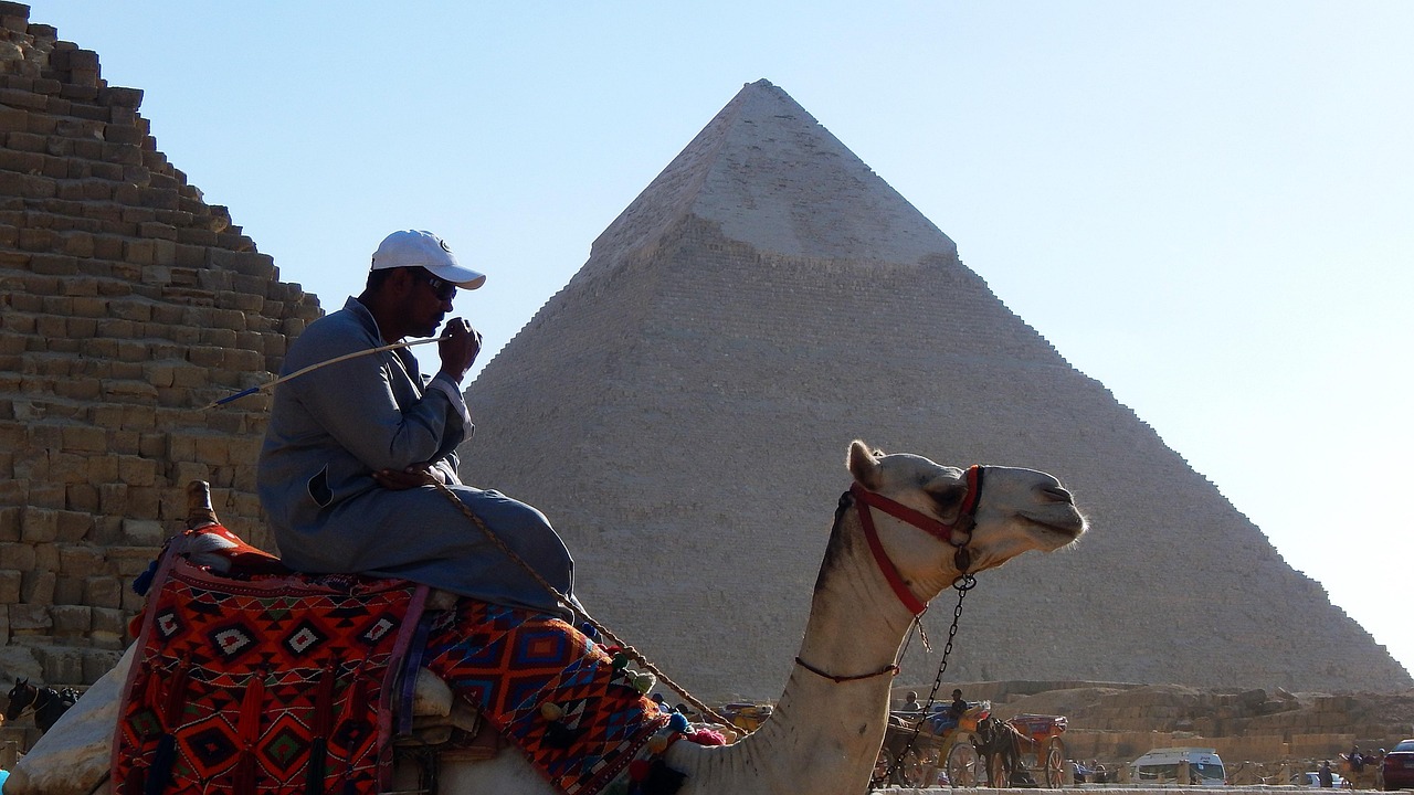 pyramid, camel, egypt, cairo, history, egyptian, giza, egypt, egypt, egypt, cairo, cairo, cairo, cairo, cairo, giza