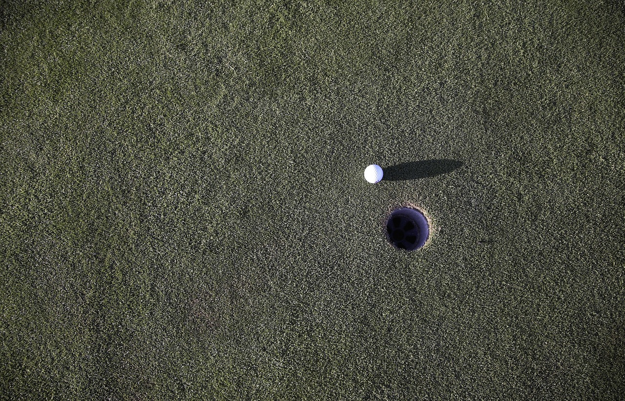 golf, hole, holed, putting green, putt, golf ball, green, pound, lawn, golf club, ball, profit, golf, golf, golf, hole, hole, putting green, putting green, putting green, putting green, putting green, golf ball, golf ball, golf ball, golf ball, golf ball