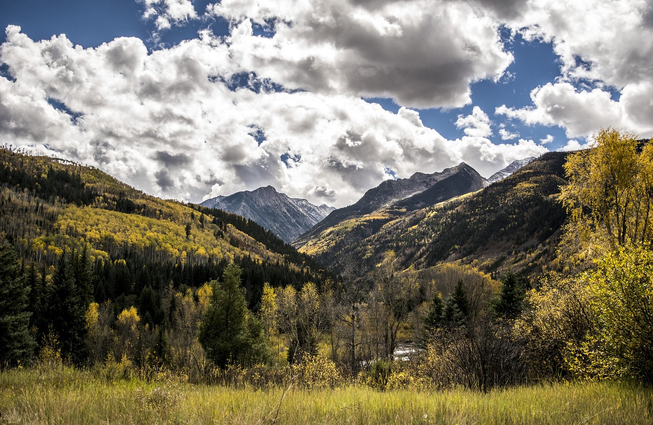 colorado, fall leaves, mountain, fall, autumn, leaves, nature, aspen, forest, colorful, tree, leaf, scenic, yellow, foliage, landscape, green, golden, park, rocky, season, usa, water, stream, color, fog, outdoors, river, travel, reflection, national, scenery, sun, clouds, panorama, viewpoint, spectacular, panoramic, america, natural, sky, environment, morning, light