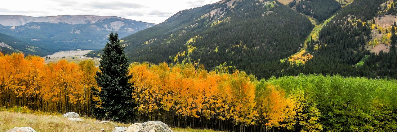 fall, colorado, aspens, trees, rocky, foliage, mountains, usa, scenic, travel, america, forest, colorful, seasons, colors, colorado mountains, golden, scenery, beauty, landscape, colorado, colorado, colorado, colorado, colorado, colorado mountains