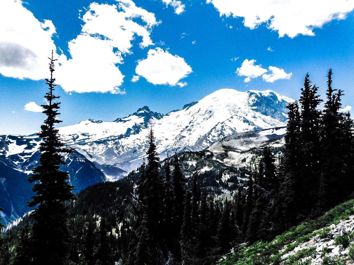 a view of a snow covered mountain with trees in the foreground