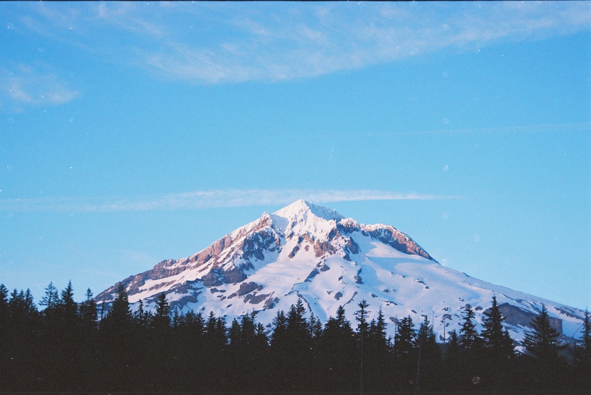 A snow covered mountain with trees in the foreground