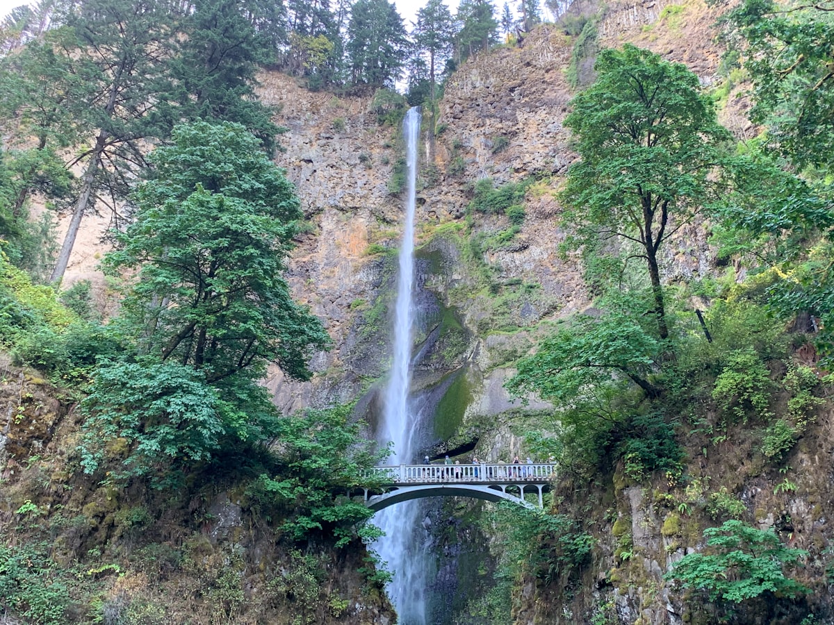 white bridge over the waterfalls