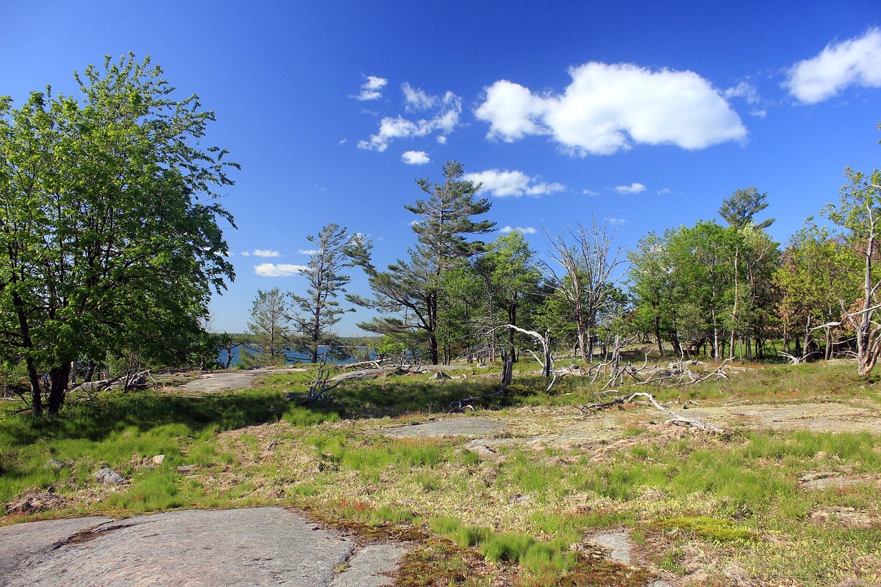 usa, new york, wellesley island state park, national park, nature, landscape