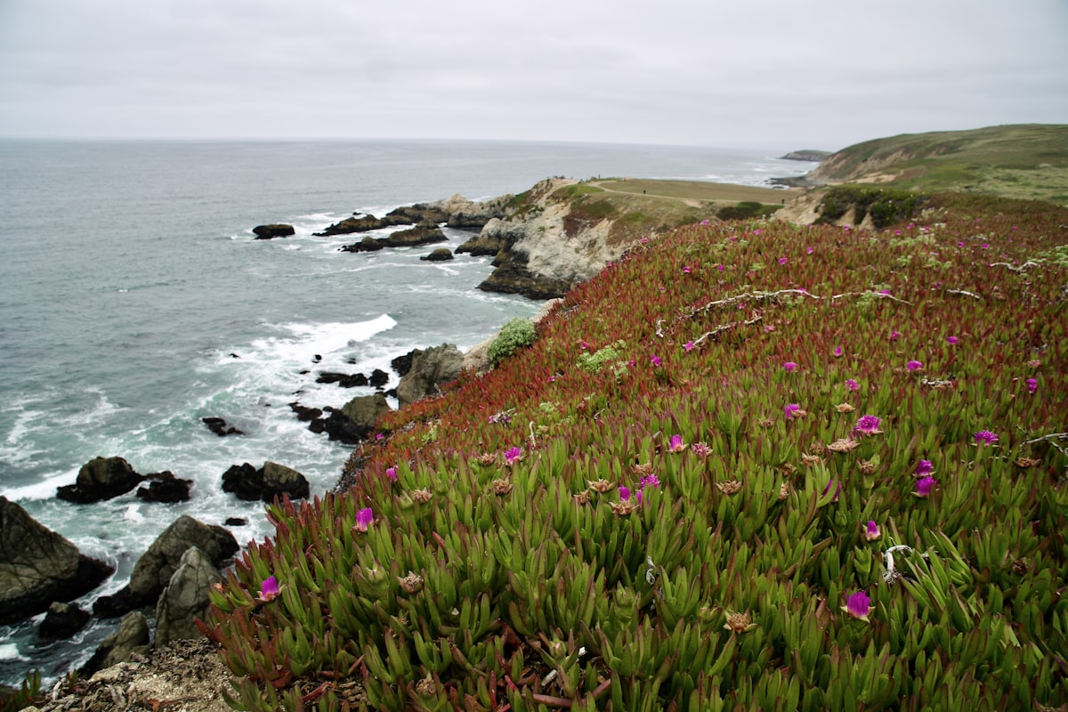 a rocky cliff overlooks a body of water