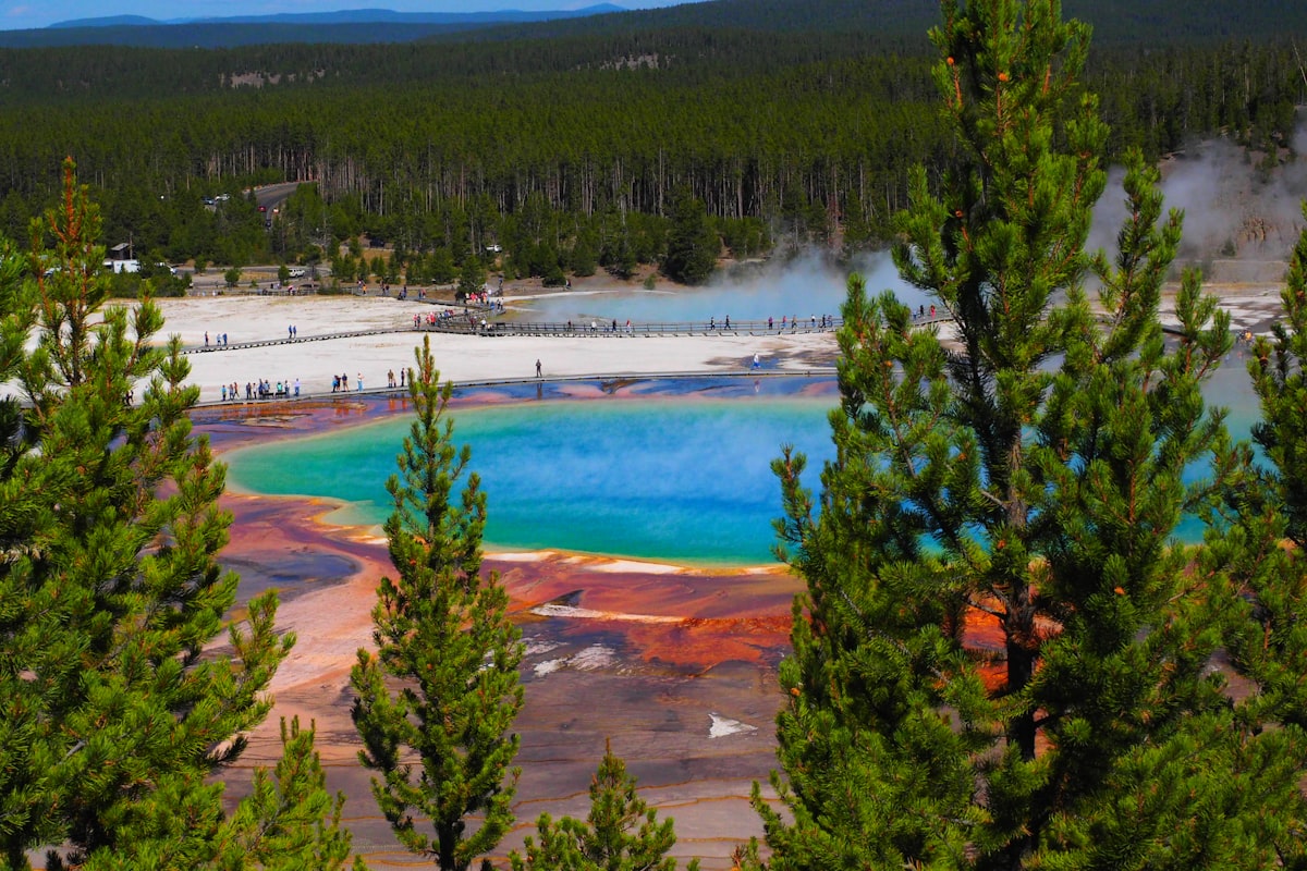 Vibrant hot spring with colorful mineral deposits and pine trees.