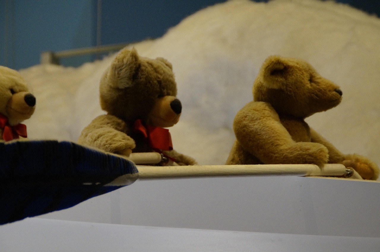 teddy, nature, teddies, bear, boat, rowing, decoration, teddy bear, animal, toy, child, children, stuffed animal, cuddly toy, steiff, steiff museum, museum, went to the brenz, imitation, fake, replica, button in ear, cozy, children's toys
