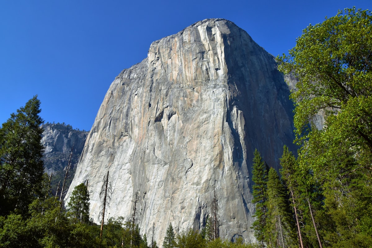 a very tall mountain towering over a forest