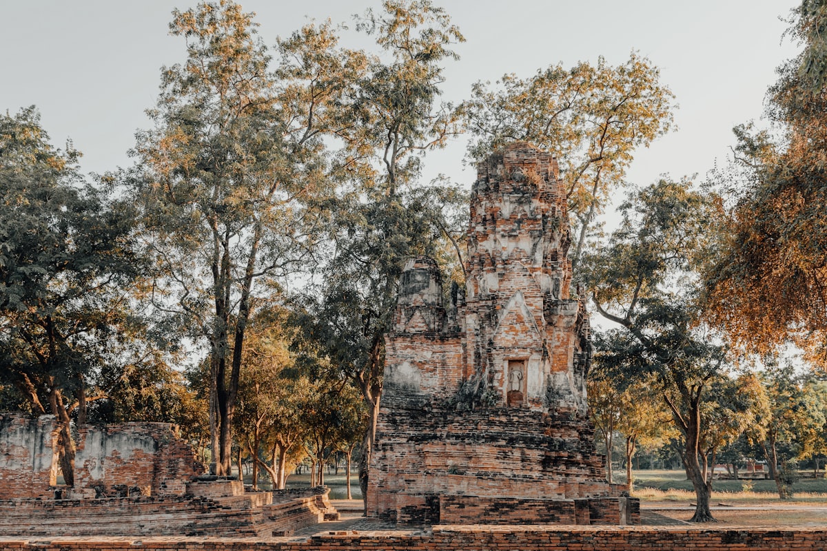 Ancient stone temple ruins surrounded by trees.