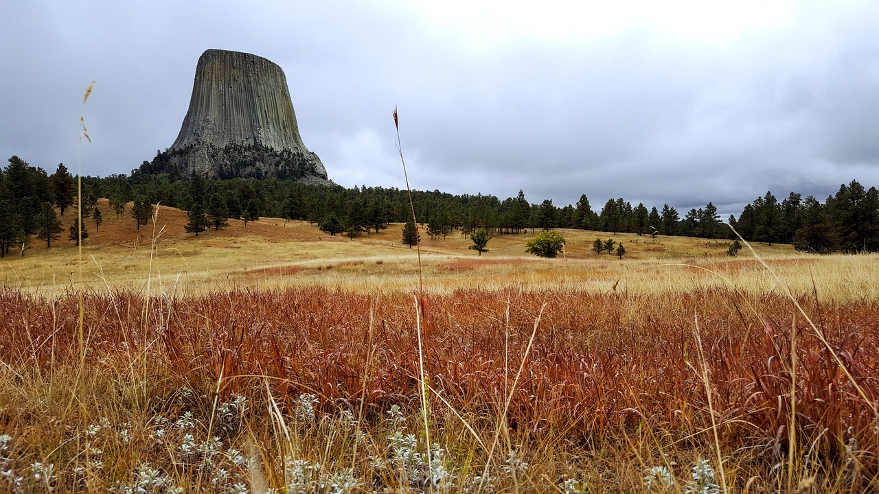 devils tower, landscape, national monument, wyoming, grassland, scenic, nature, wyoming's devils tower, mountain, america, rock, devils, tower, usa, national, monolith, travel, outdoors, devils tower, devils tower, devils tower, devils tower, devils tower