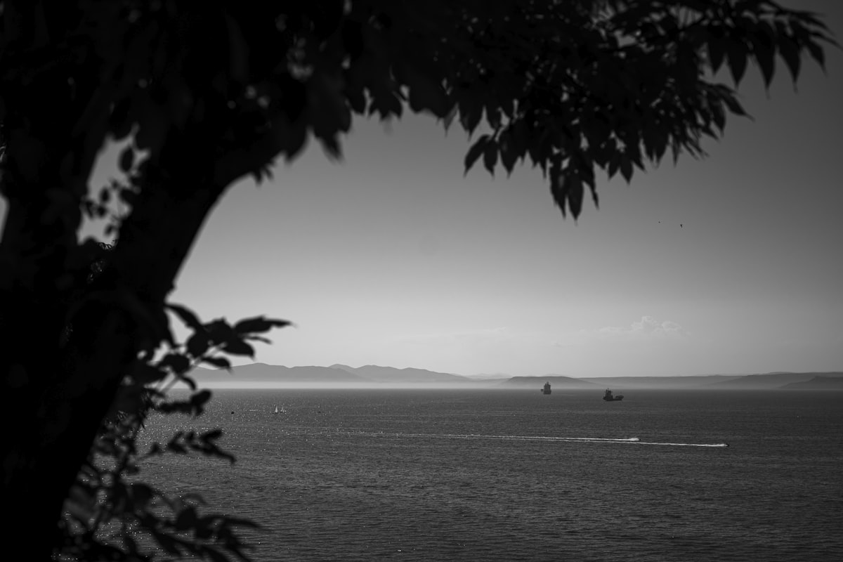 A boat races across the calm, gray sea.