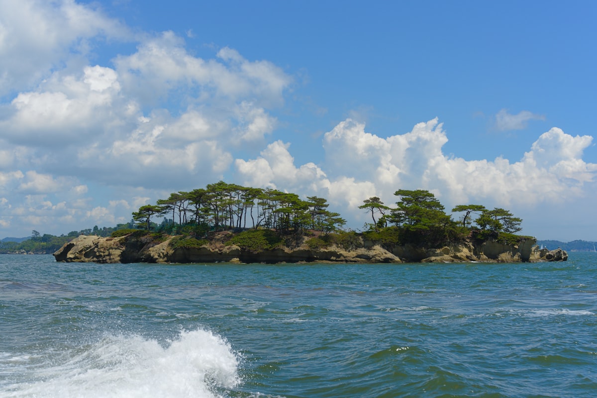 A small island covered in trees surrounded by ocean.