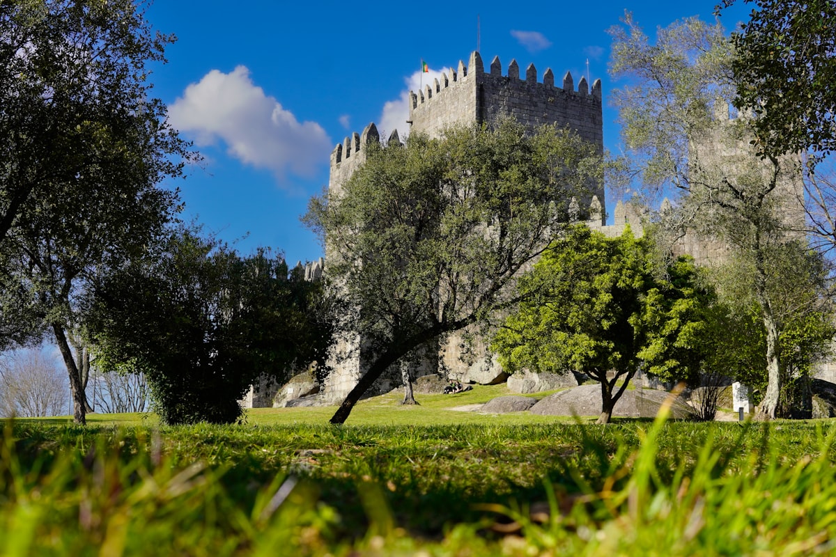 a castle with trees and grass in the foreground