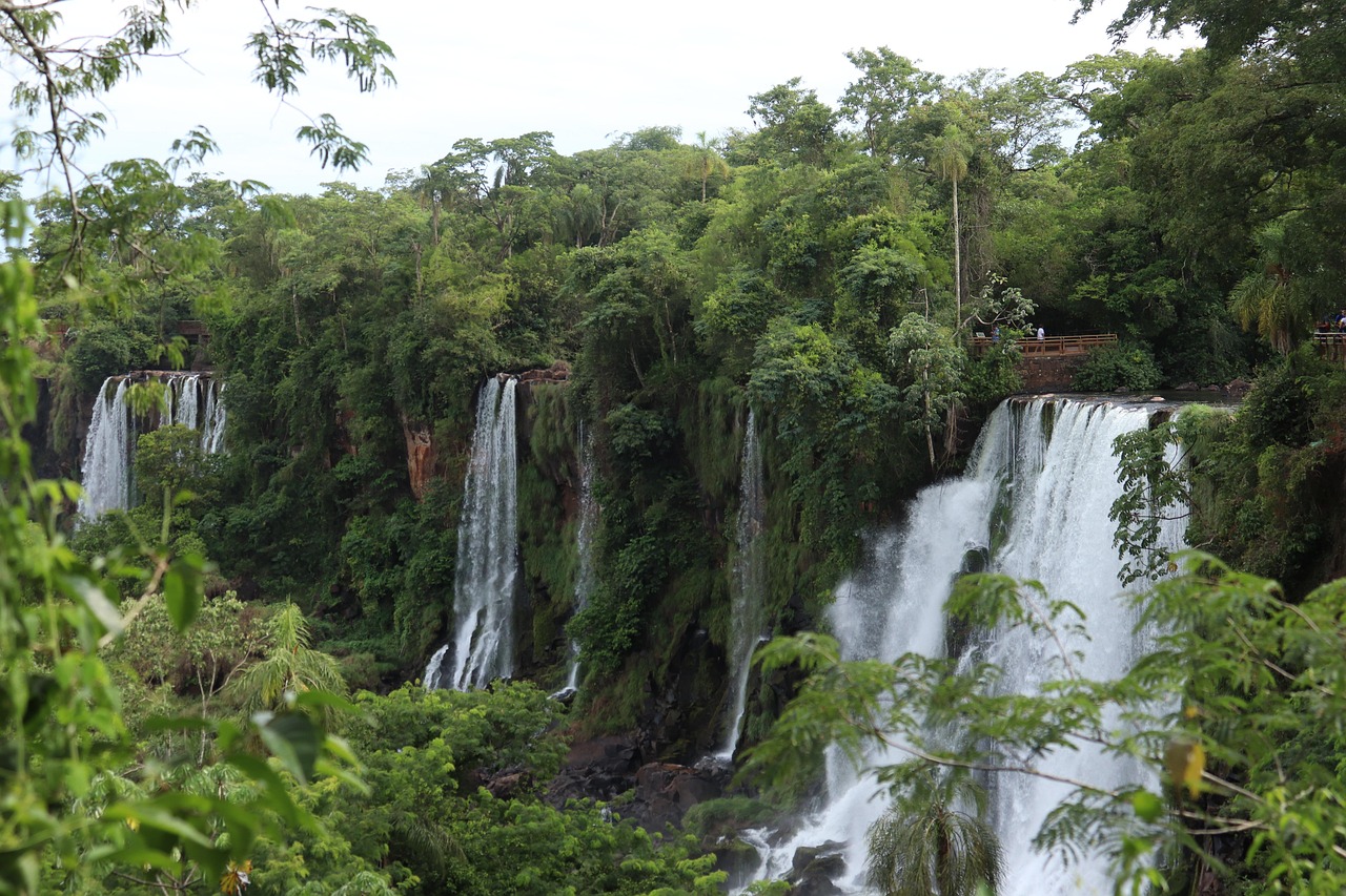 iguazu falls, waterfall, landscape, argentina, water, falls, river, scenery, jungle, natural, tourism, wild, tropical, scenic, travel, south america, vacation, nature, outdoors, adventure, tree, forest, fern, hiking, relaxing