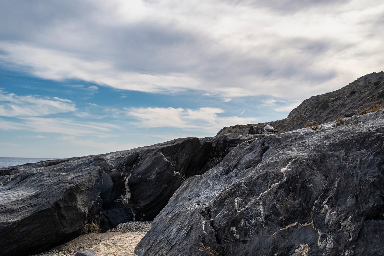 island, rocks, landscape, sea, clouds, marine, seagull, nature, island, island, landscape, landscape, sea, sea, sea, sea, sea