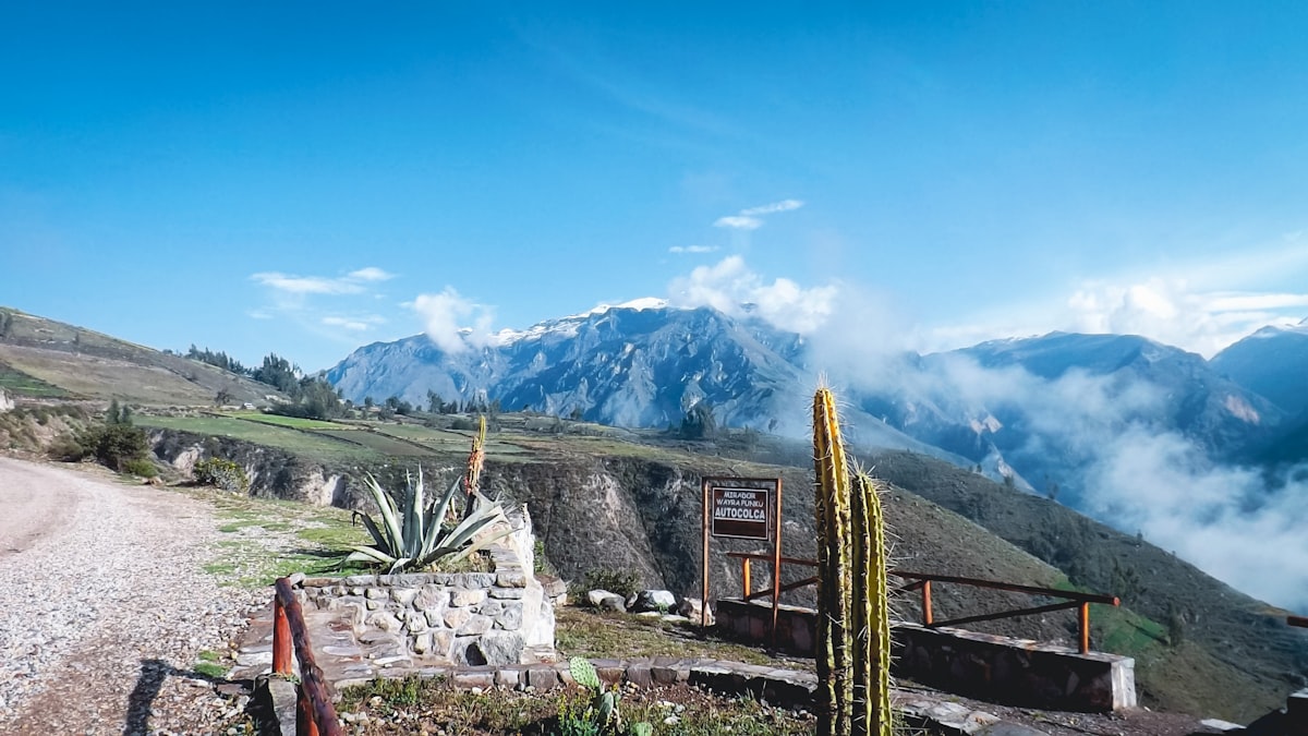 Mountain landscape with agave plants and blue sky