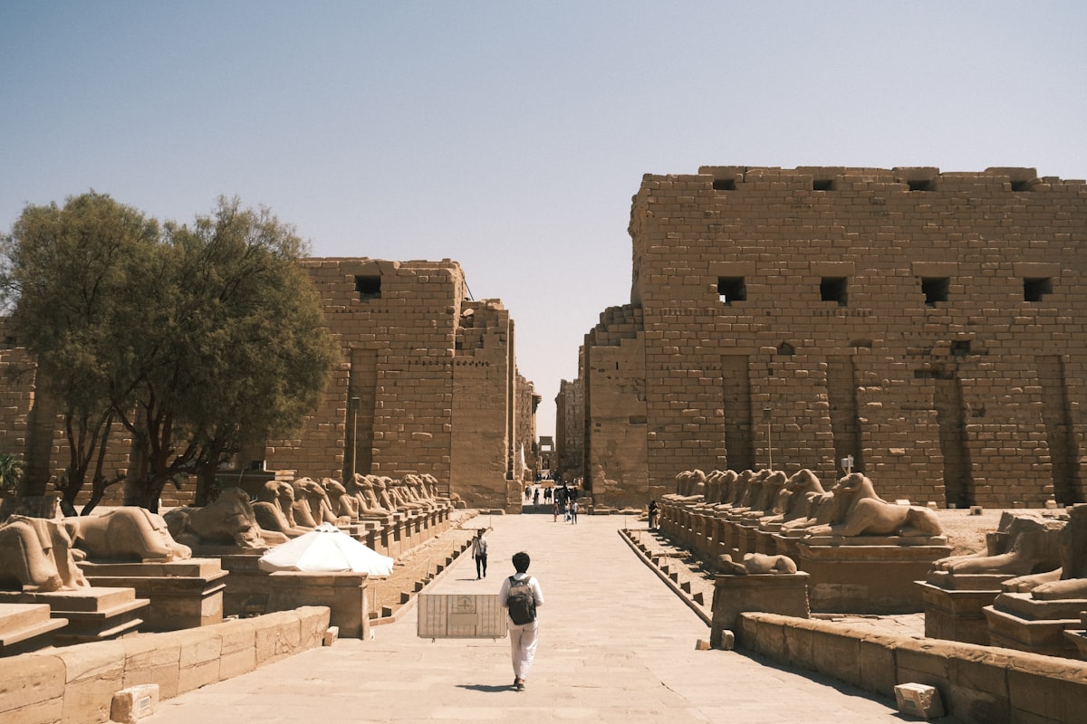 A person walks down an ancient avenue lined with sphinxes.