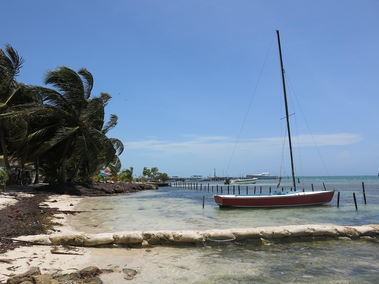 boat, sail boat, sailboat, sea, water, beach, shore, nature, palms, cocnut, belize, caye caulker