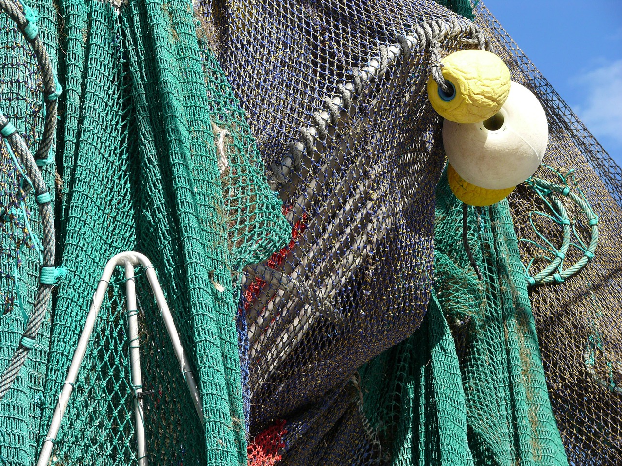 fishing net, fishing, nature, net, fishnet, equipment, rope, sea, fish, fisherman, water, float, commercial fishing