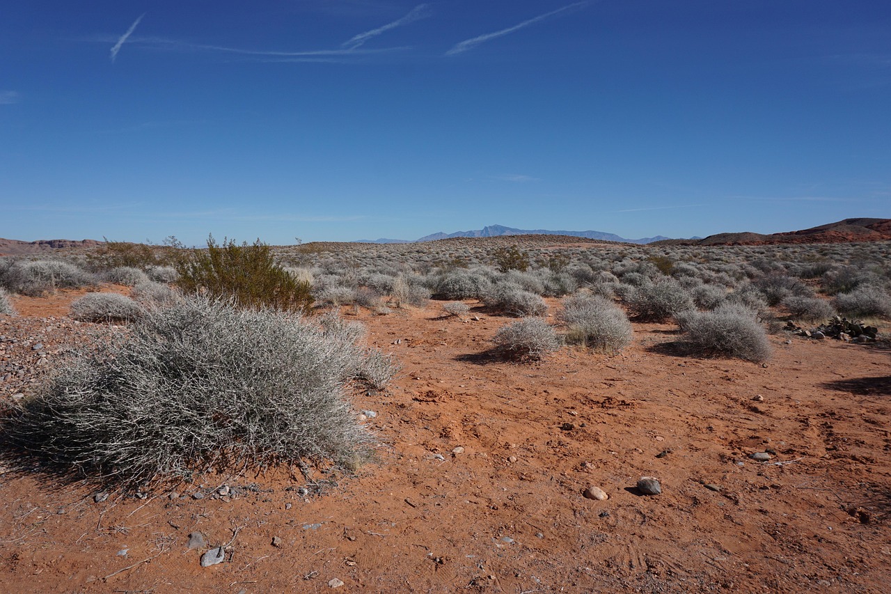 nevada, valley of fire, desert, nature, sandstone, erosion, state park, l, landscape, brown fire
