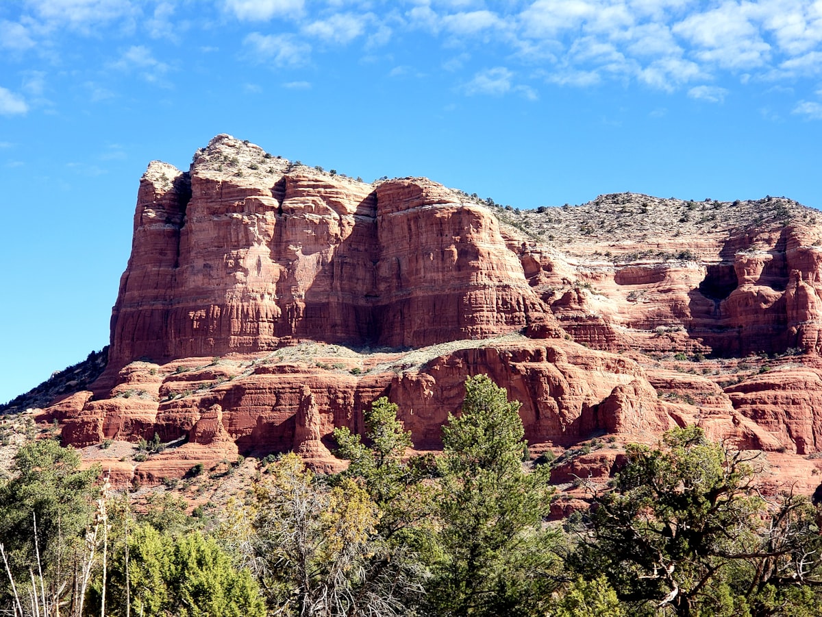 a rocky mountain with trees in front of it