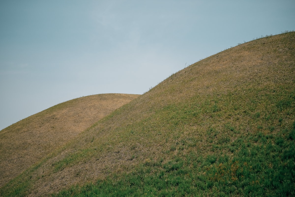 a grassy hill with a blue sky in the background
